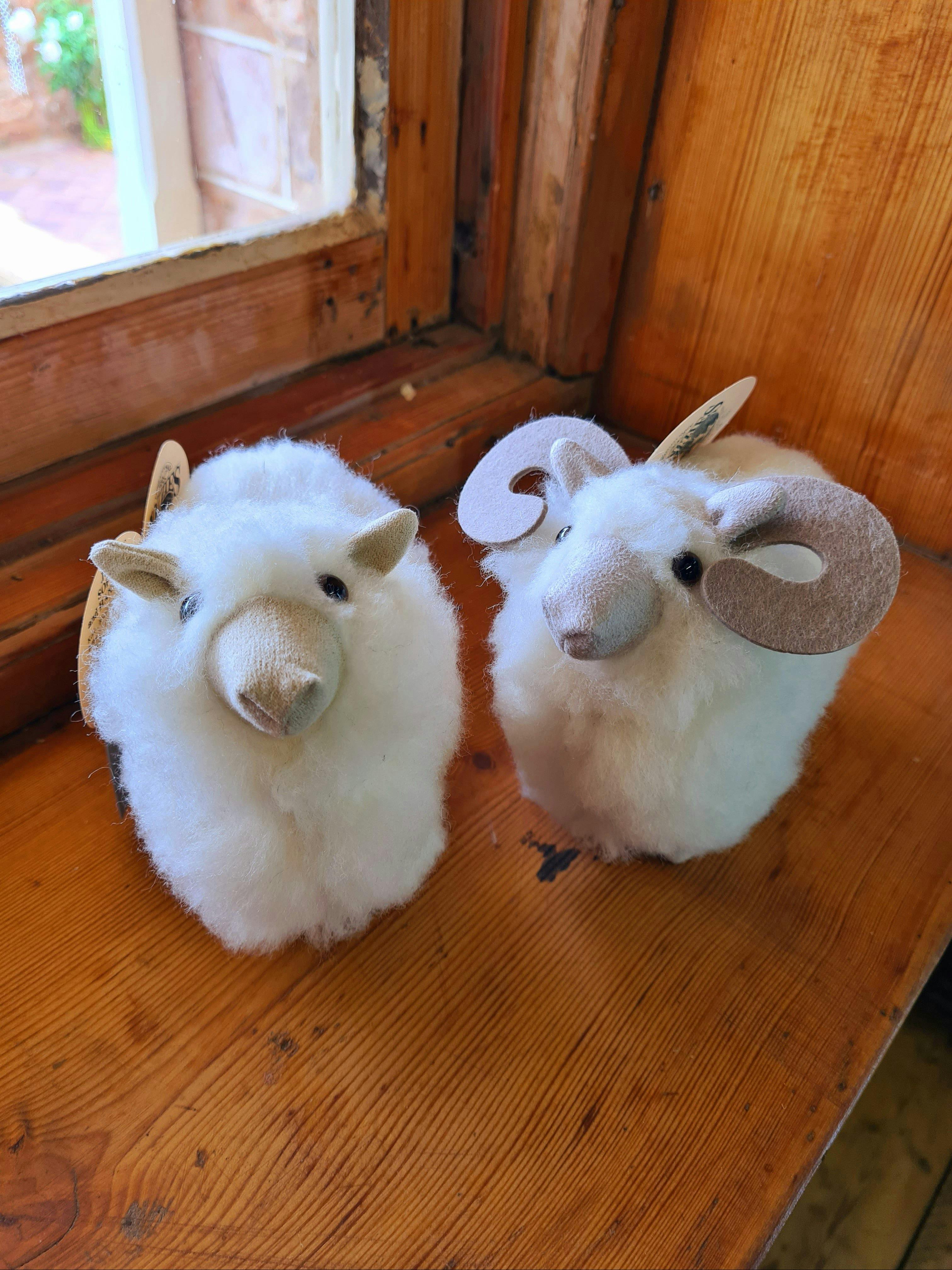Cuddly woollen toy sheep displayed in the Station Store at Bungaree Station