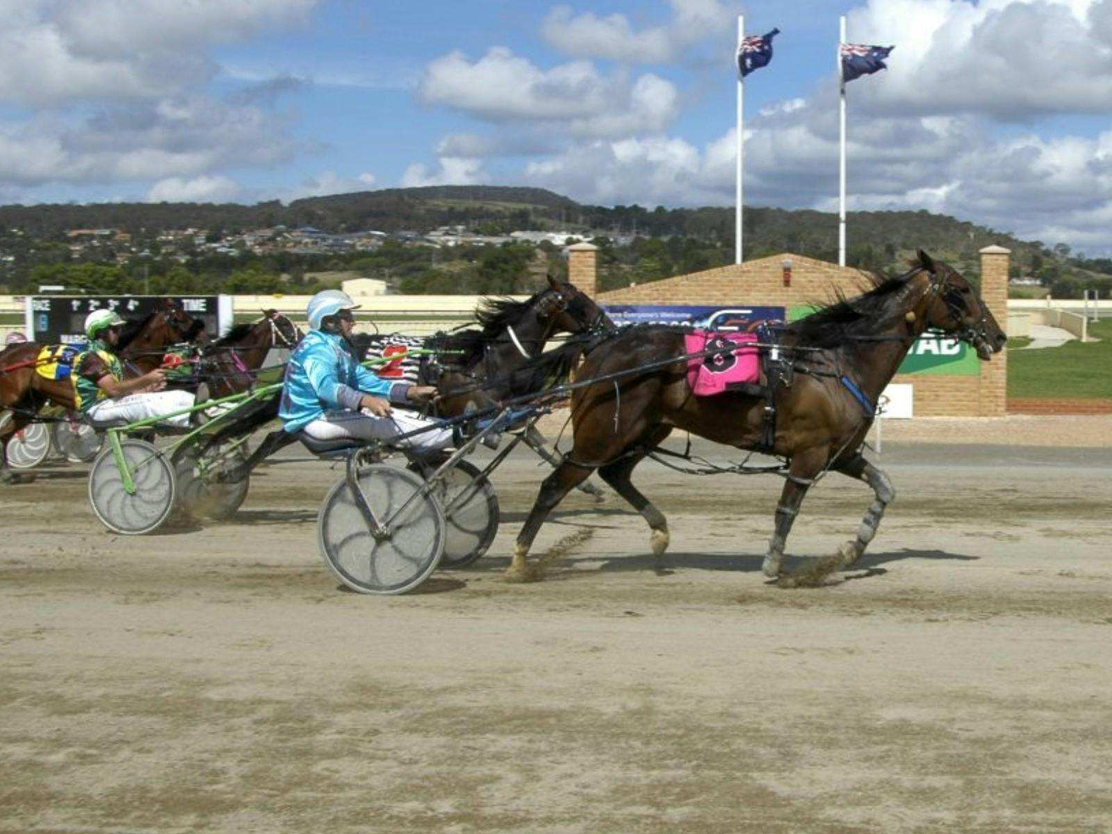 Goulburn Harness Club - Goulburn Cup