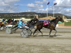 Goulburn Carnival of Cups Cover Image