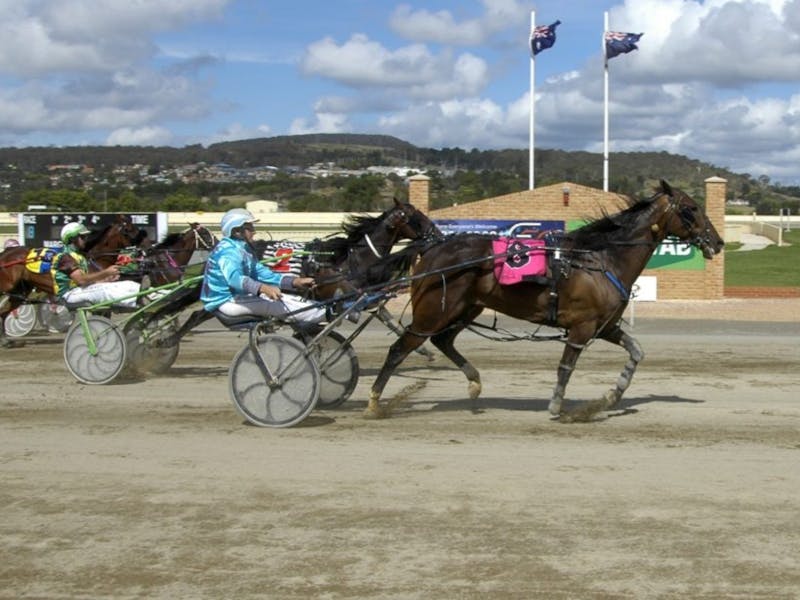 Image for Goulburn Carnival of Cups