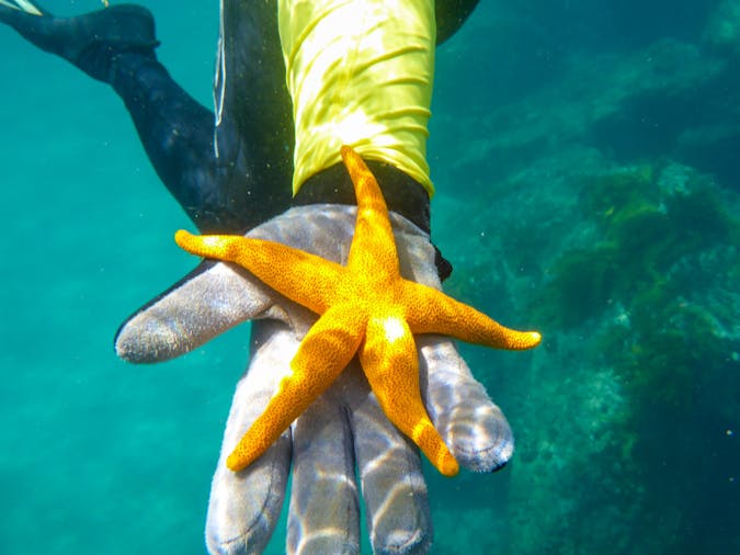 School Holidays Fleurieu Peninsula Snorkel and Explore