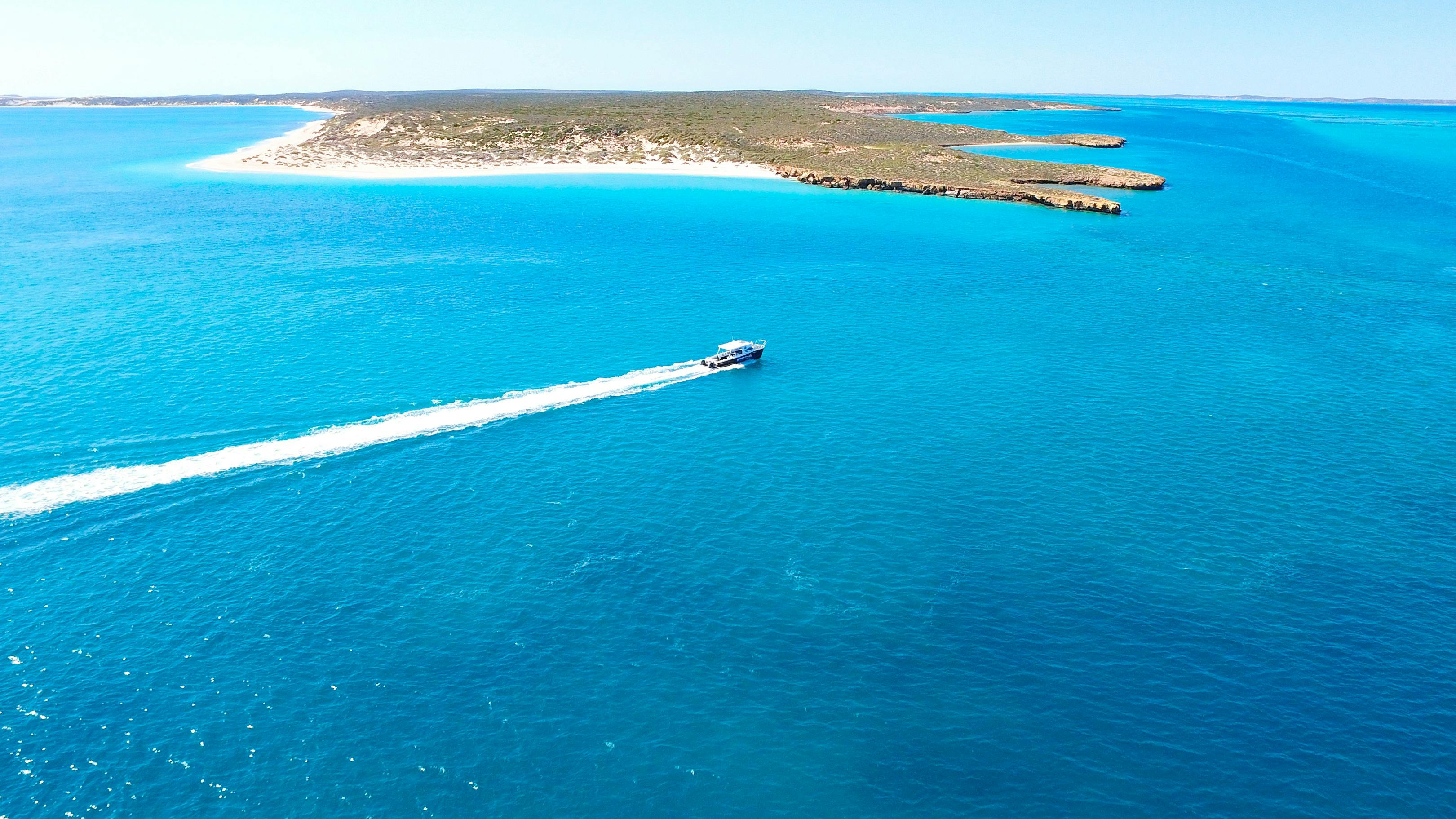 Shark Bay Dive and Marine Safaris, Shark Bay, Western Australia