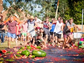 Chinchilla Melon Festival