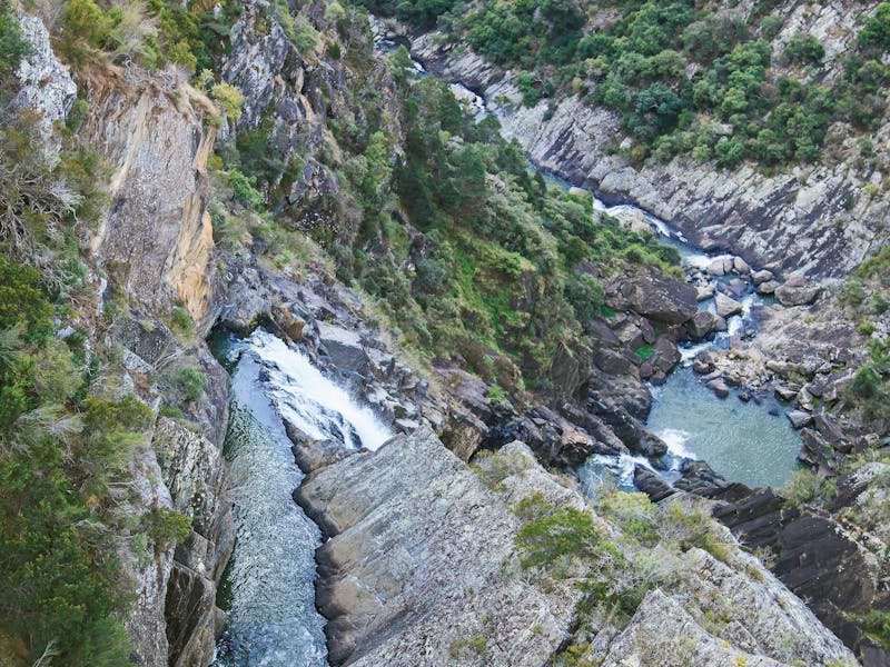 Tia Falls