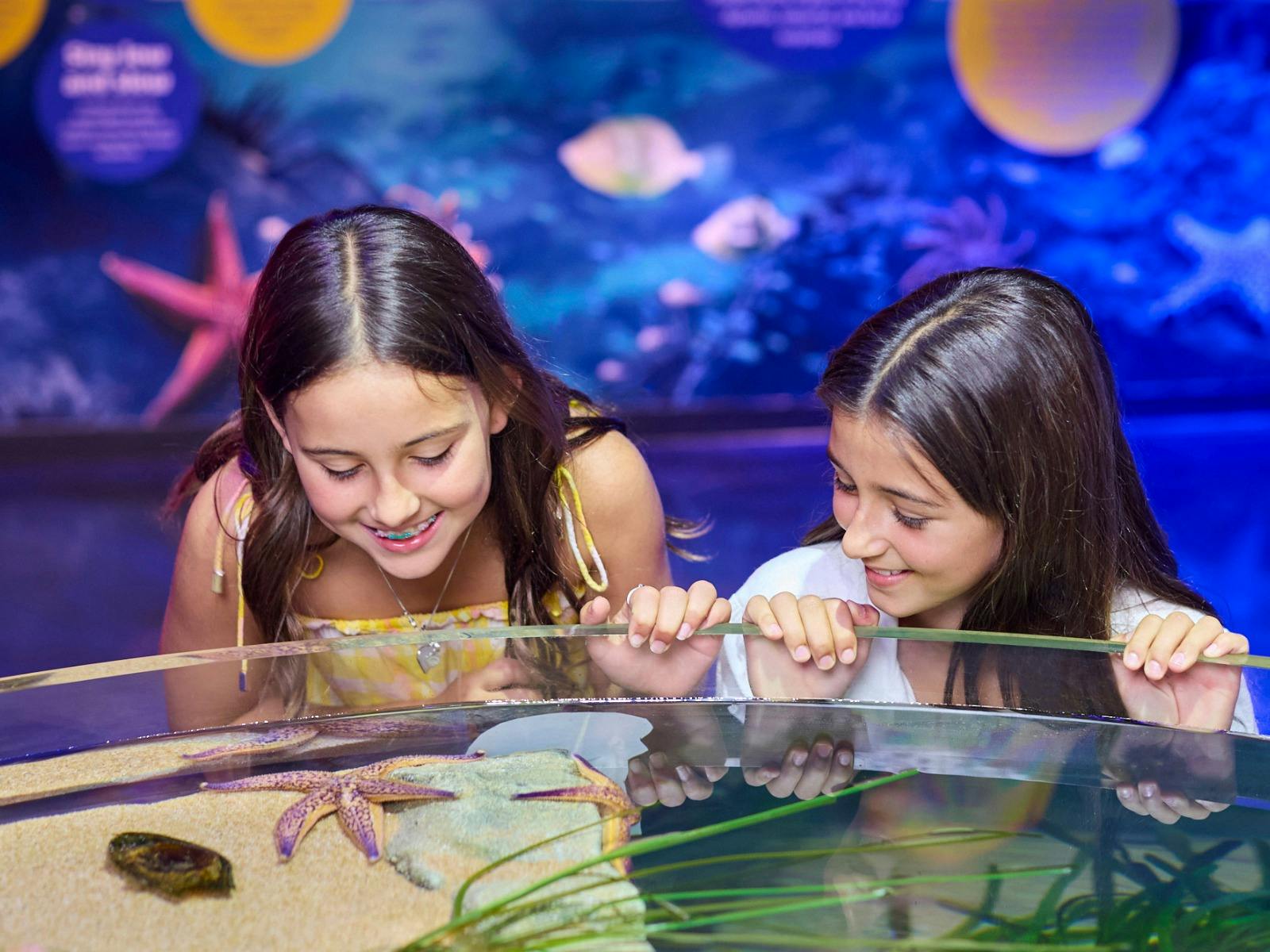 Two girls exploring a hands-on exhibit at SEA LIFE Sydney Aquarium
