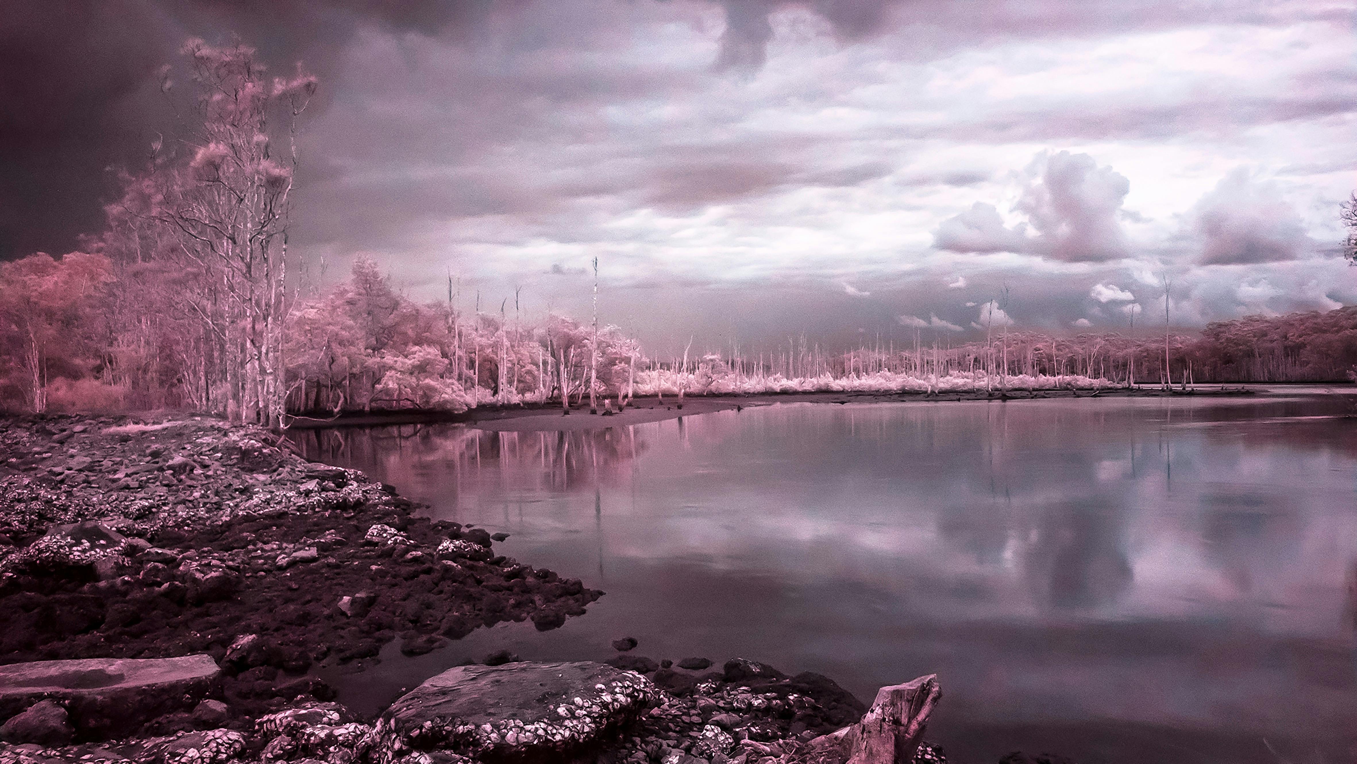 a water and bush landscape in alternate colours