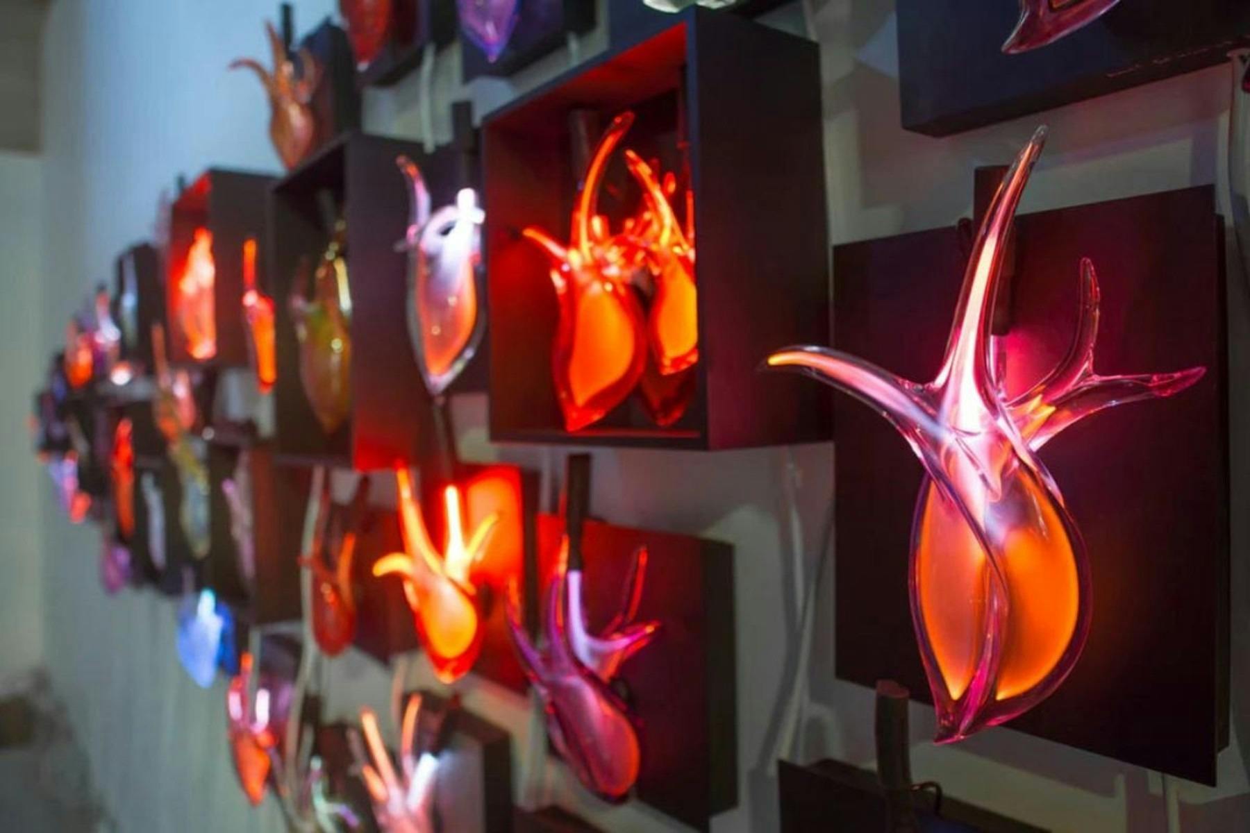 Harriett Schwarzrock: Fluid Presence