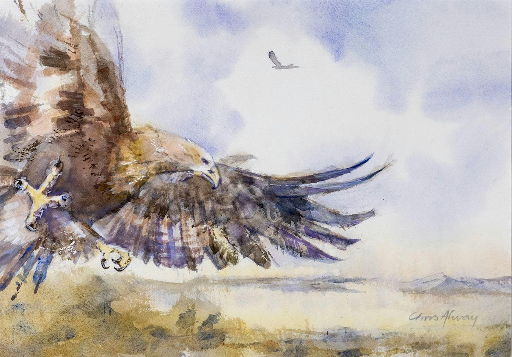 Chris Alway Solo Exhibition - South Australian Landscapes