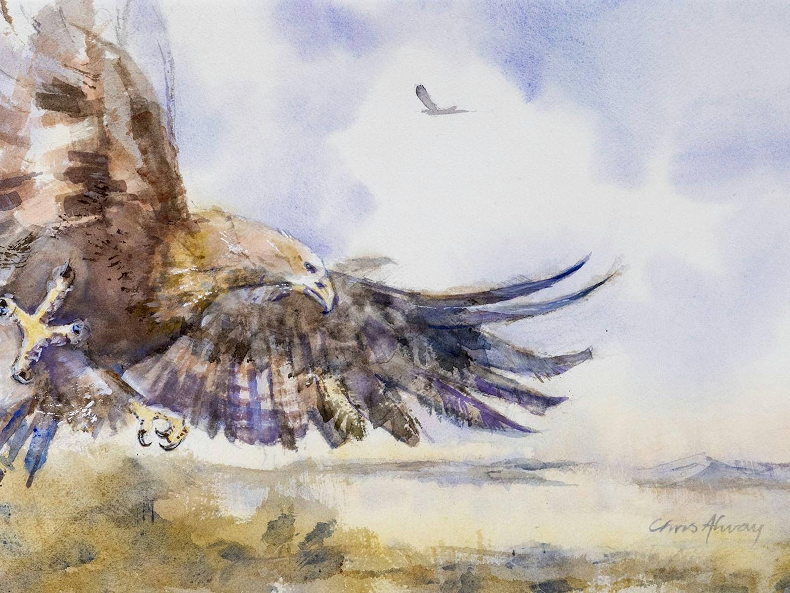 The Eagle unframed