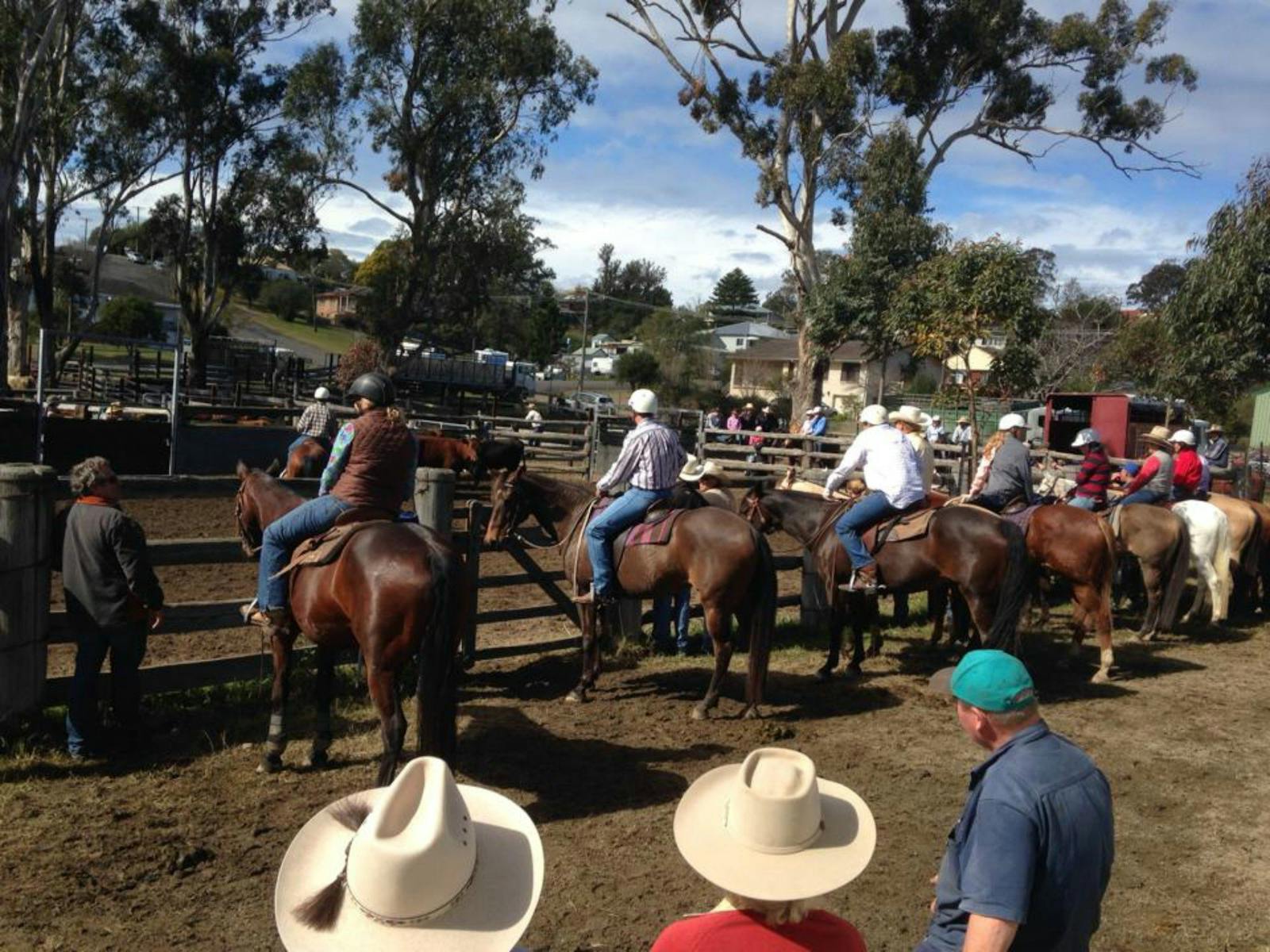 Image for Dungog Campdraft