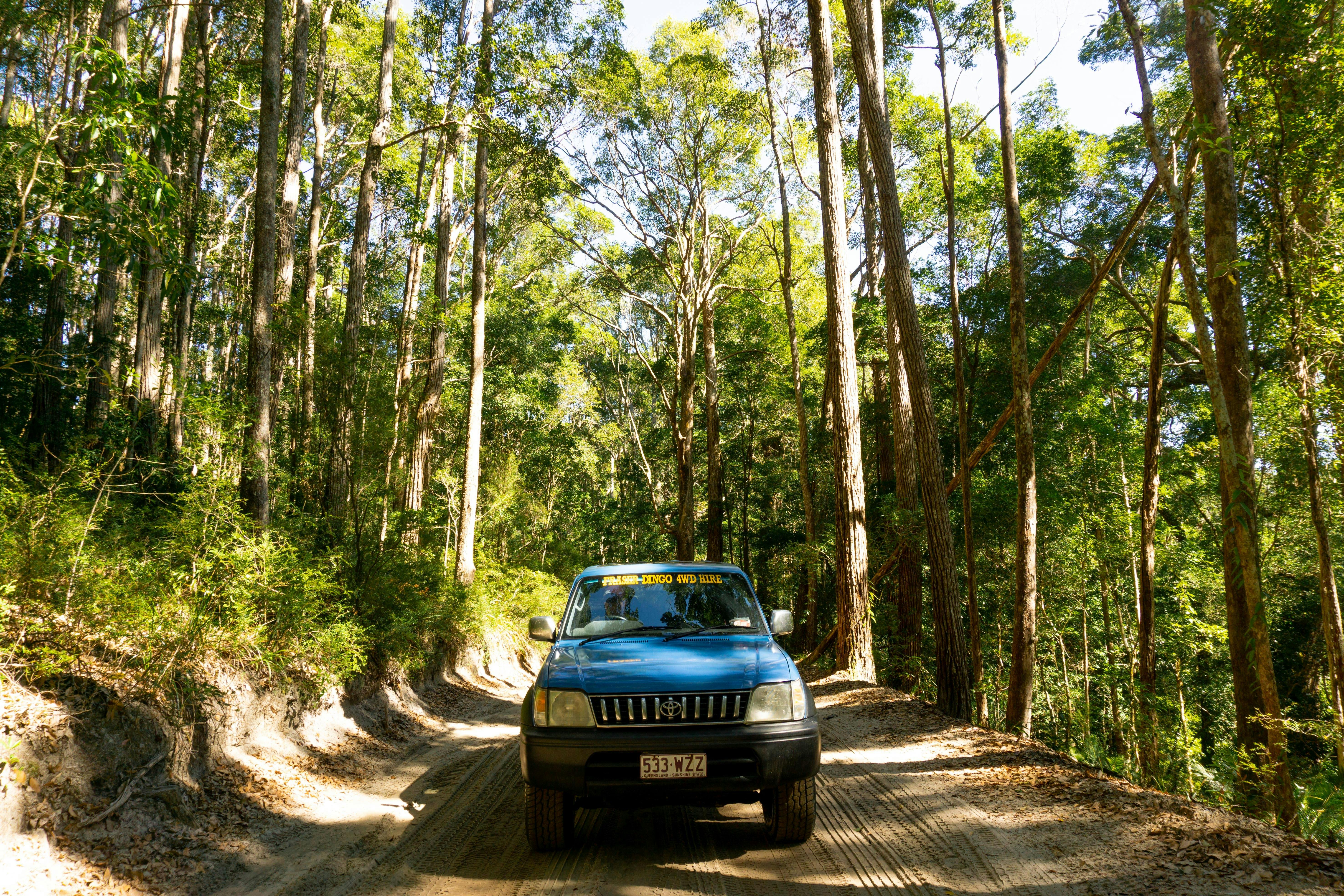 Take either a blue or pink 4wd to Fraser Island and discover parts of the rainforest