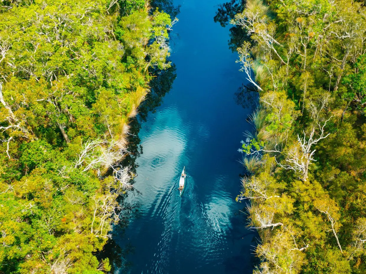 Tasty Everglades