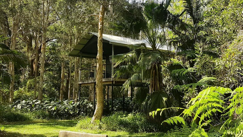 Diamond Waters  Treehouse Retreat