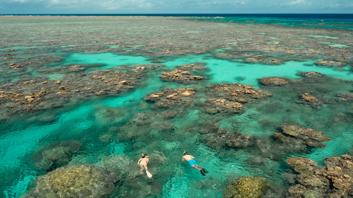snorkellers at Great Barrier Reef