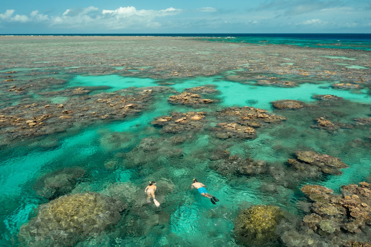 snorkellers at Great Barrier Reef