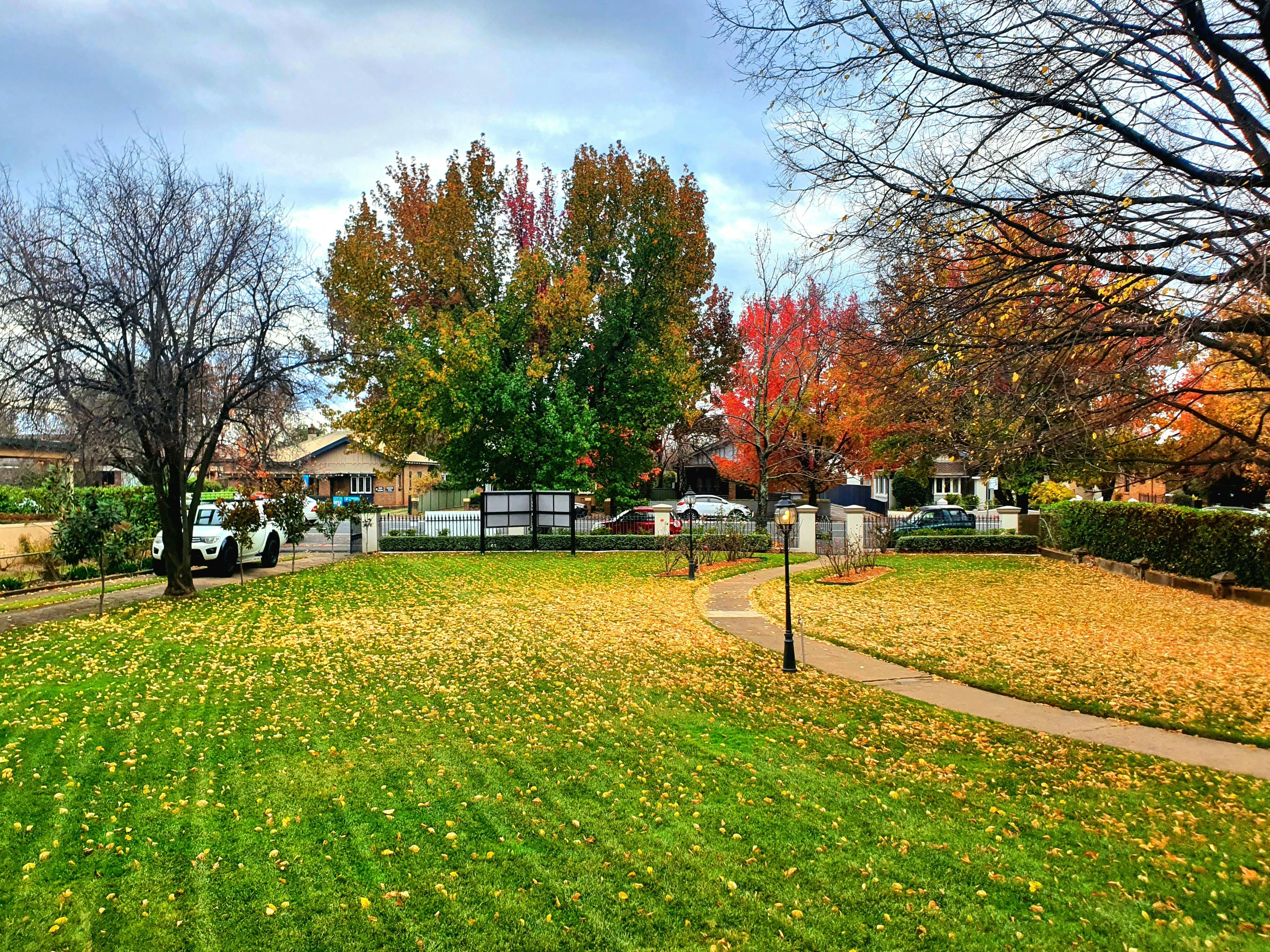실내 레스토랑에서 찍은 앞마당 풍경