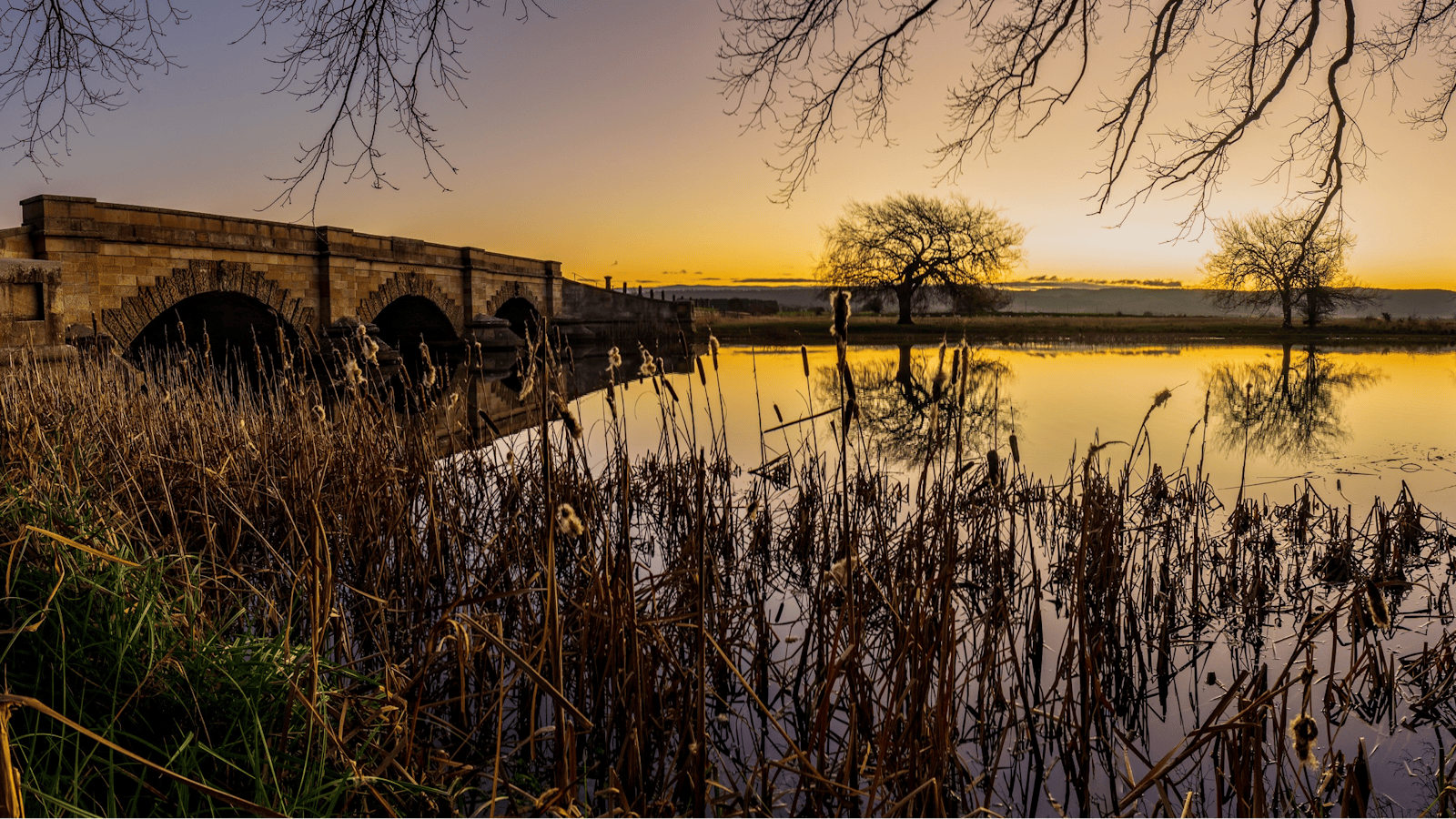 Ross Bridge at Sunset
