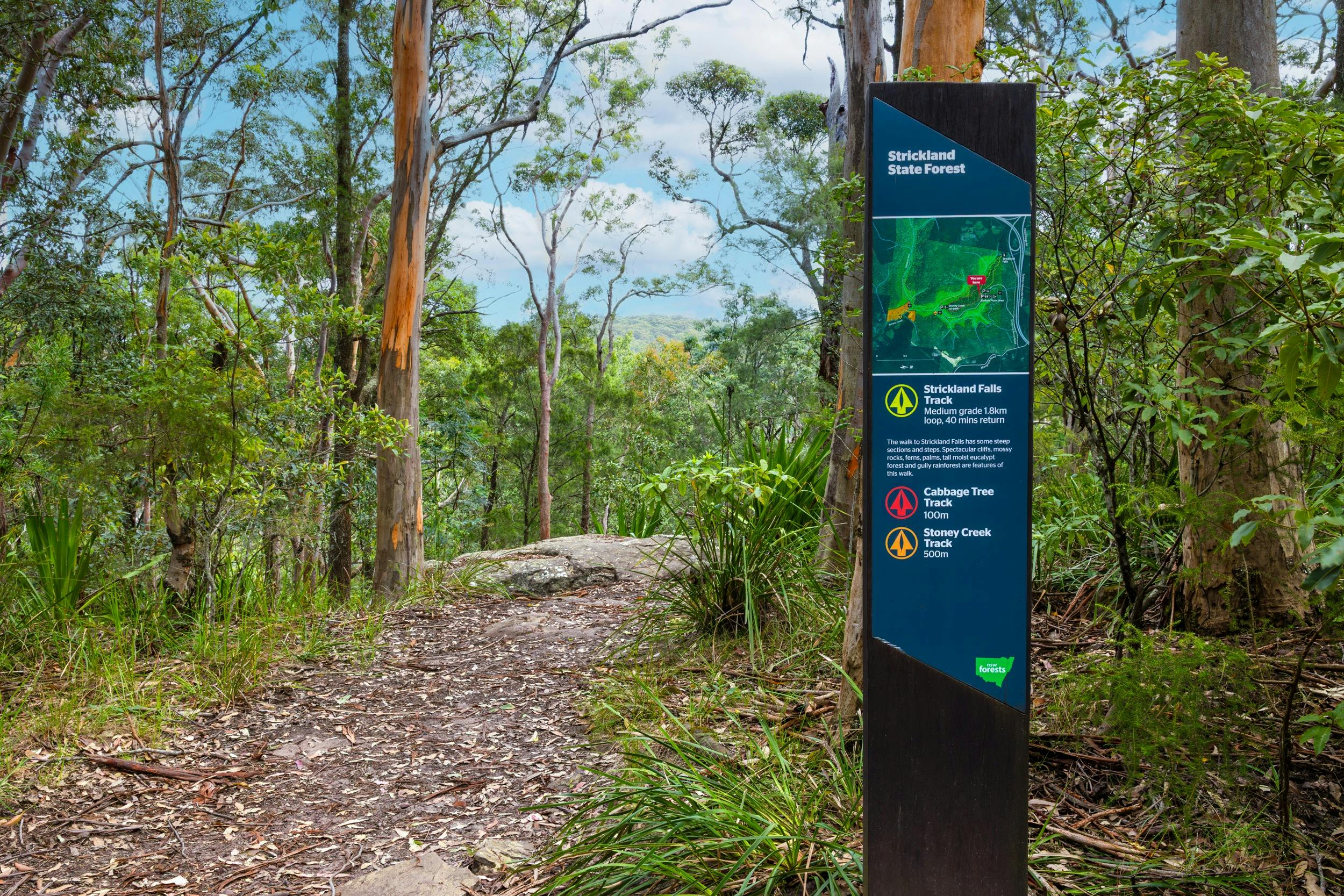 A trail head sign indicating the start of Strickland Falls Walking Track