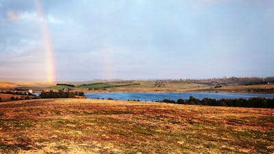 Two little Pigges glamping