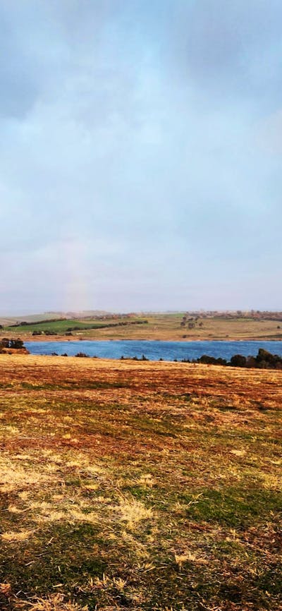 Two little Pigges glamping