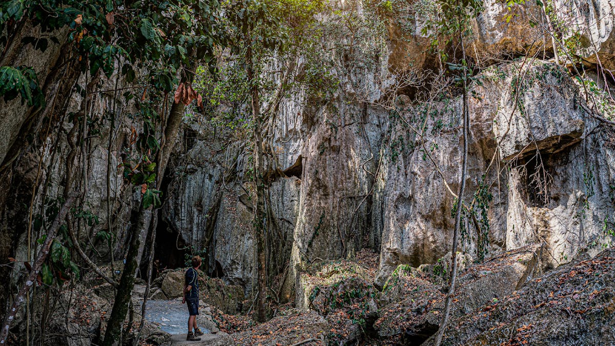 Grand Entrance | Capricorn Caves