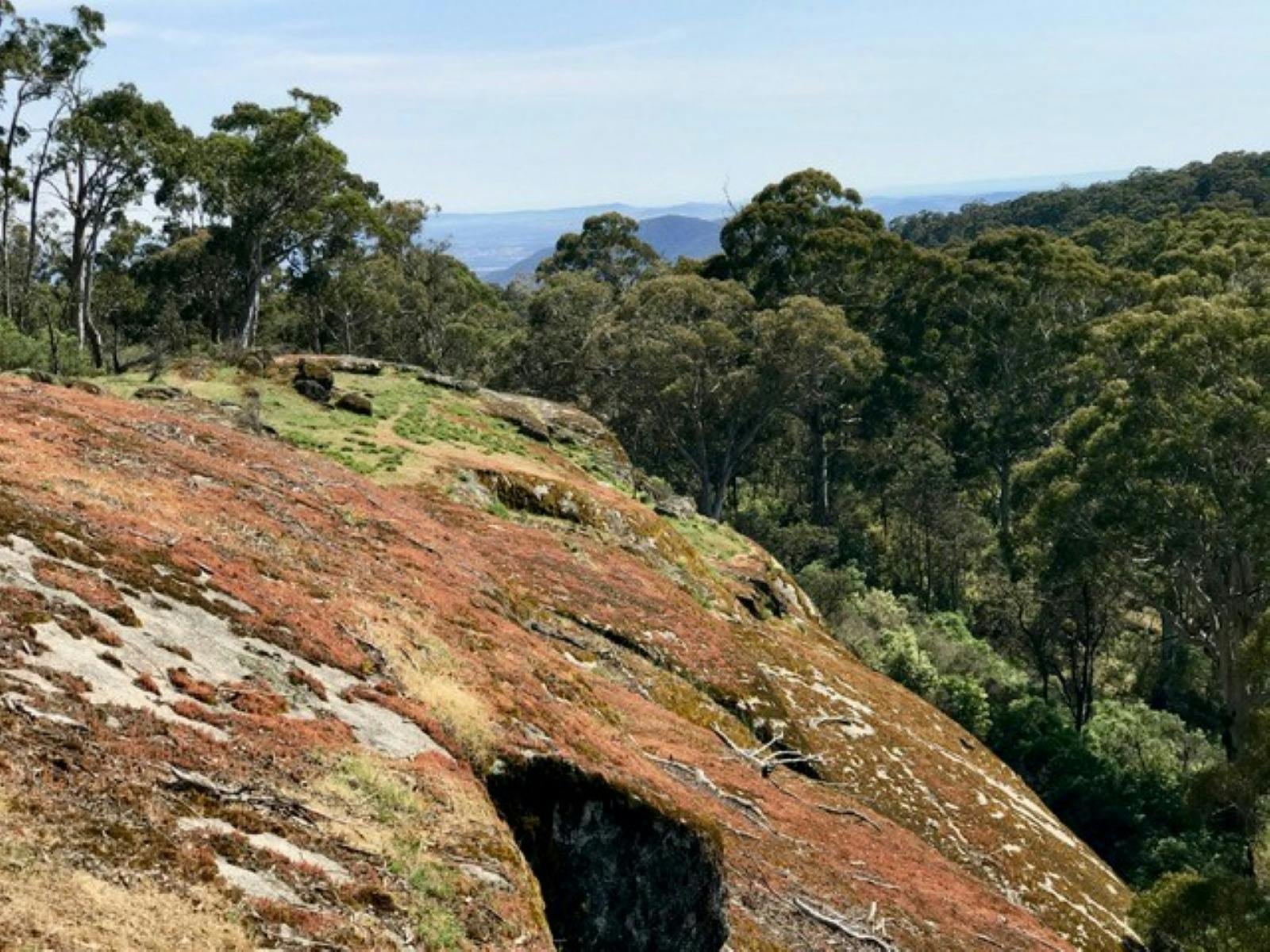 Photo of a granite face with colourful lichen