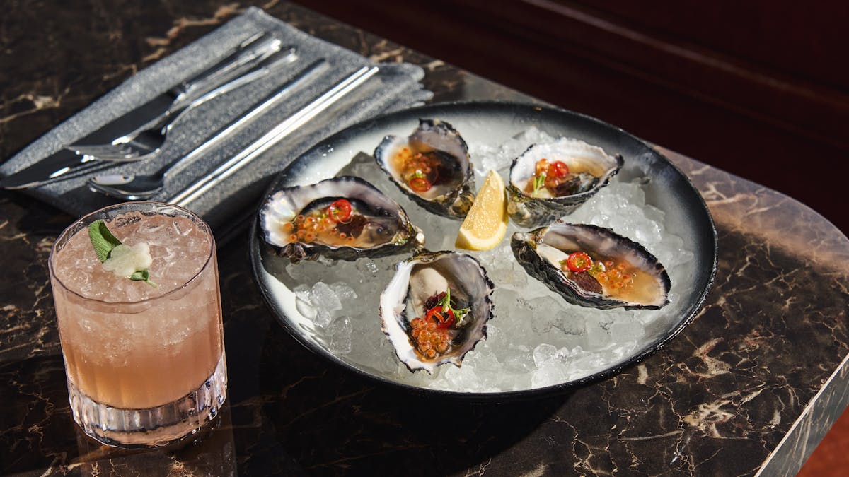 Oysters Oysters