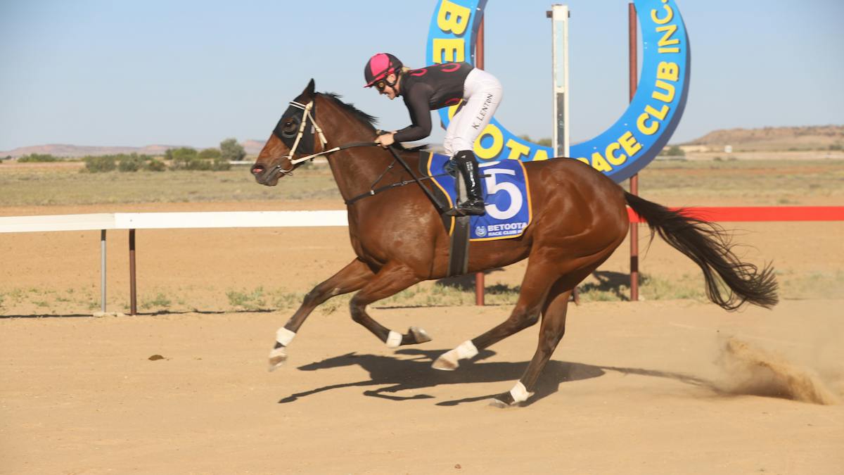 Betoota Races | Events | Queensland