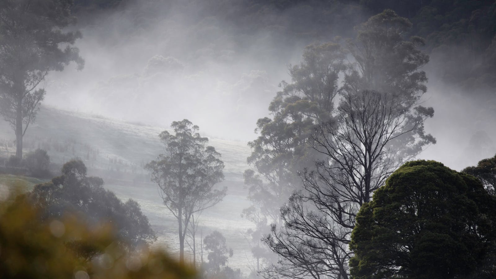 'Dream' Limited Edition Fine Art photography by Emma Coombes at the Elm & the Raven
