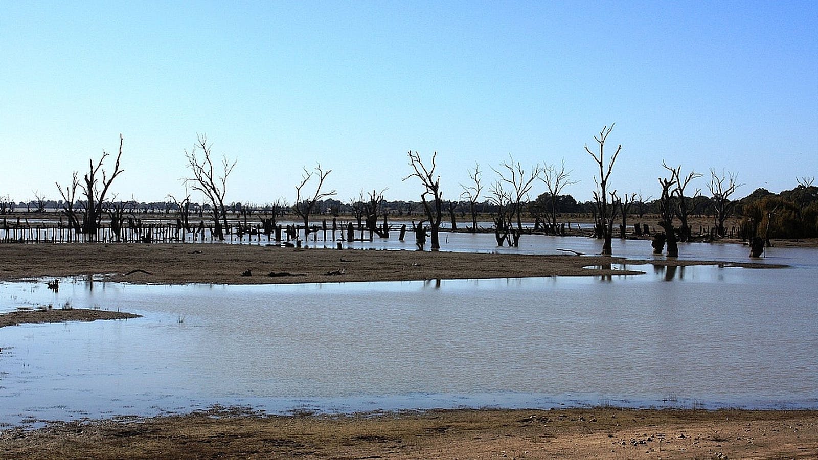 Rufus River