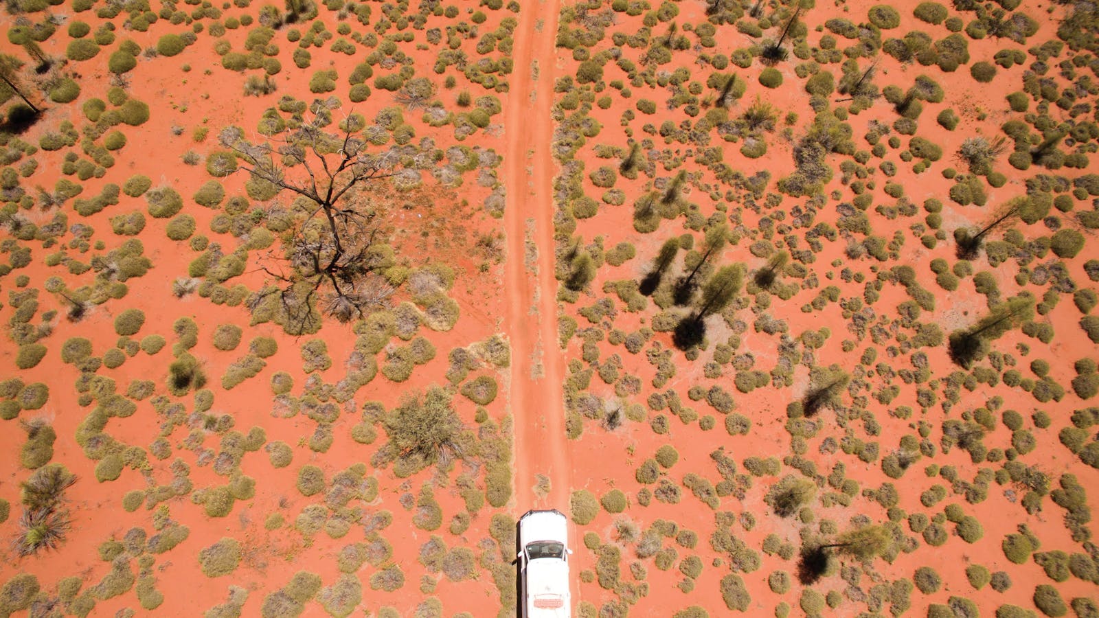 Munga-Thirri  National Park (Simpson Desert)