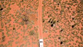 Munga-Thirri  National Park (Simpson Desert)