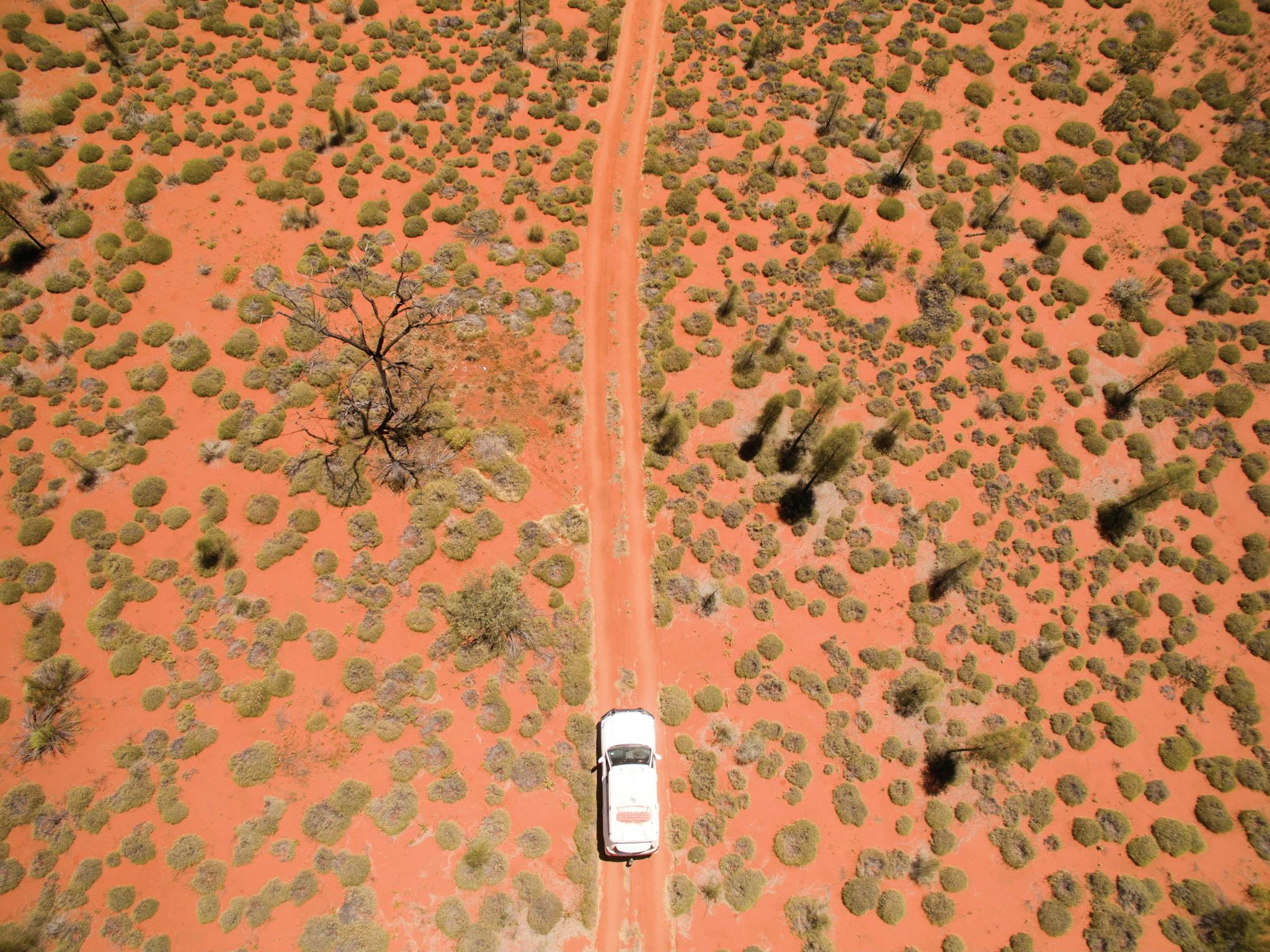 Vehicle surroudned by spinifex bushes Vehicle surroudned by spinifex bushes