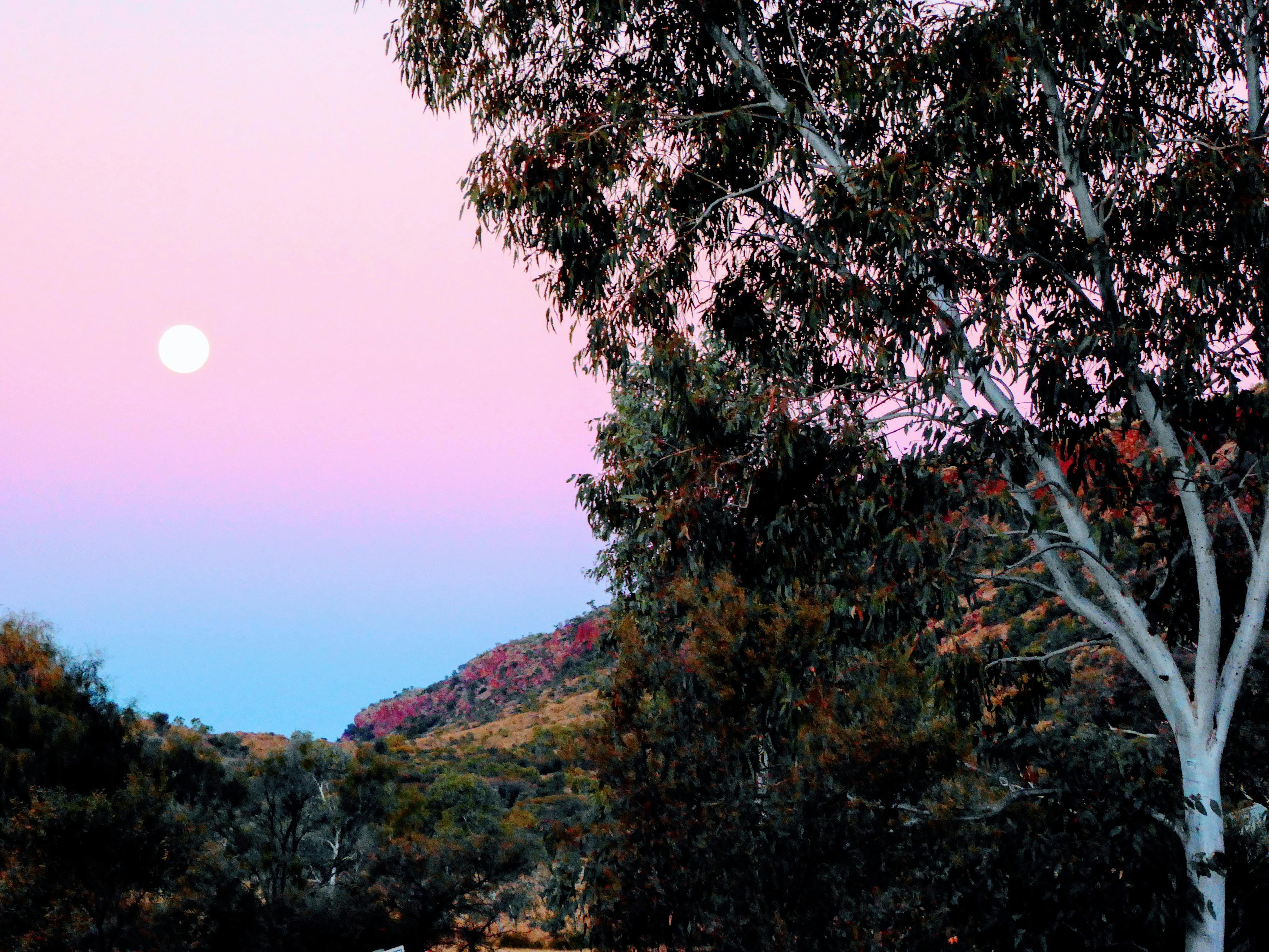Larapinta Trail 5-Day Pack-Free Guided Walk with Life's An Adventure