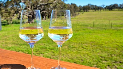 Two wine glasses on the deck
