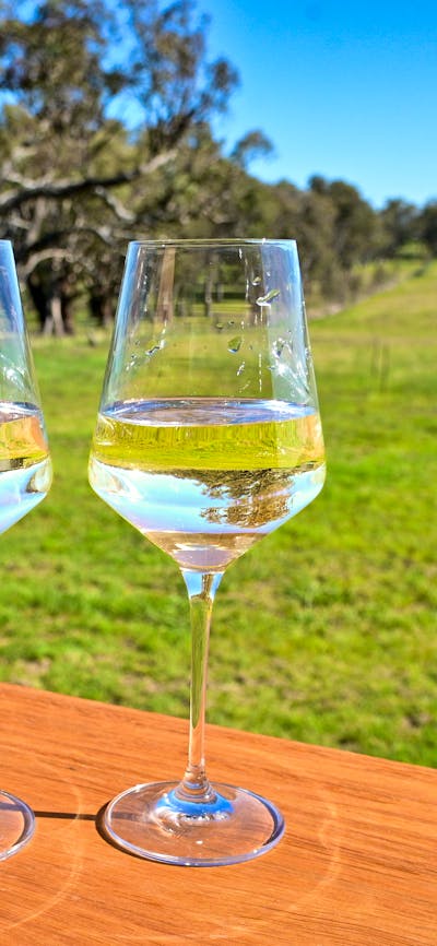 Two wine glasses on the deck