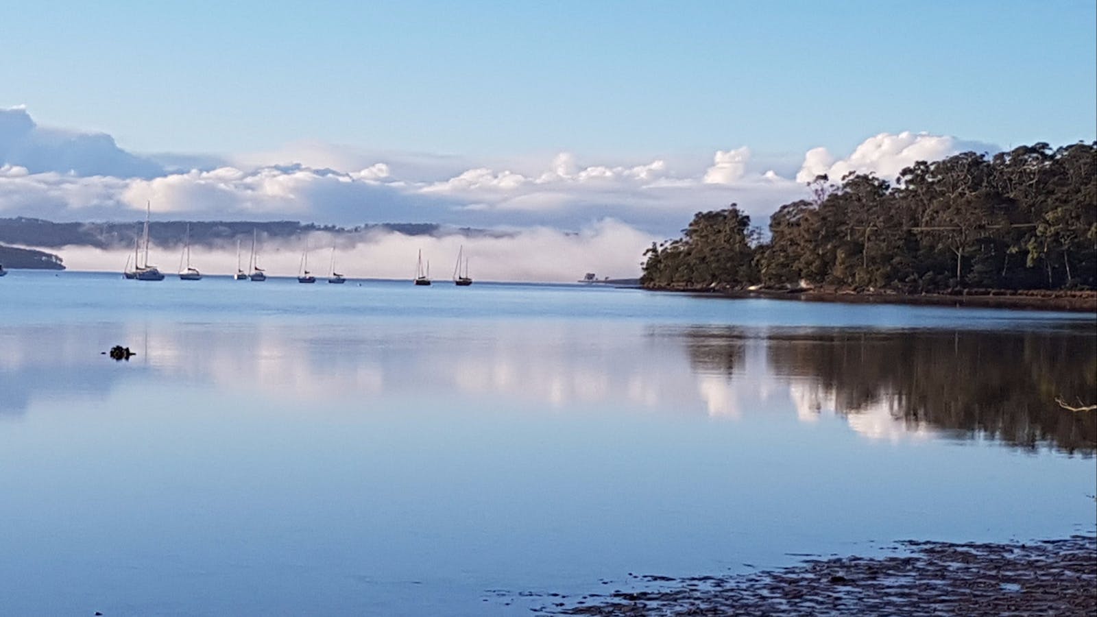 Oyster Cove- a short walk away