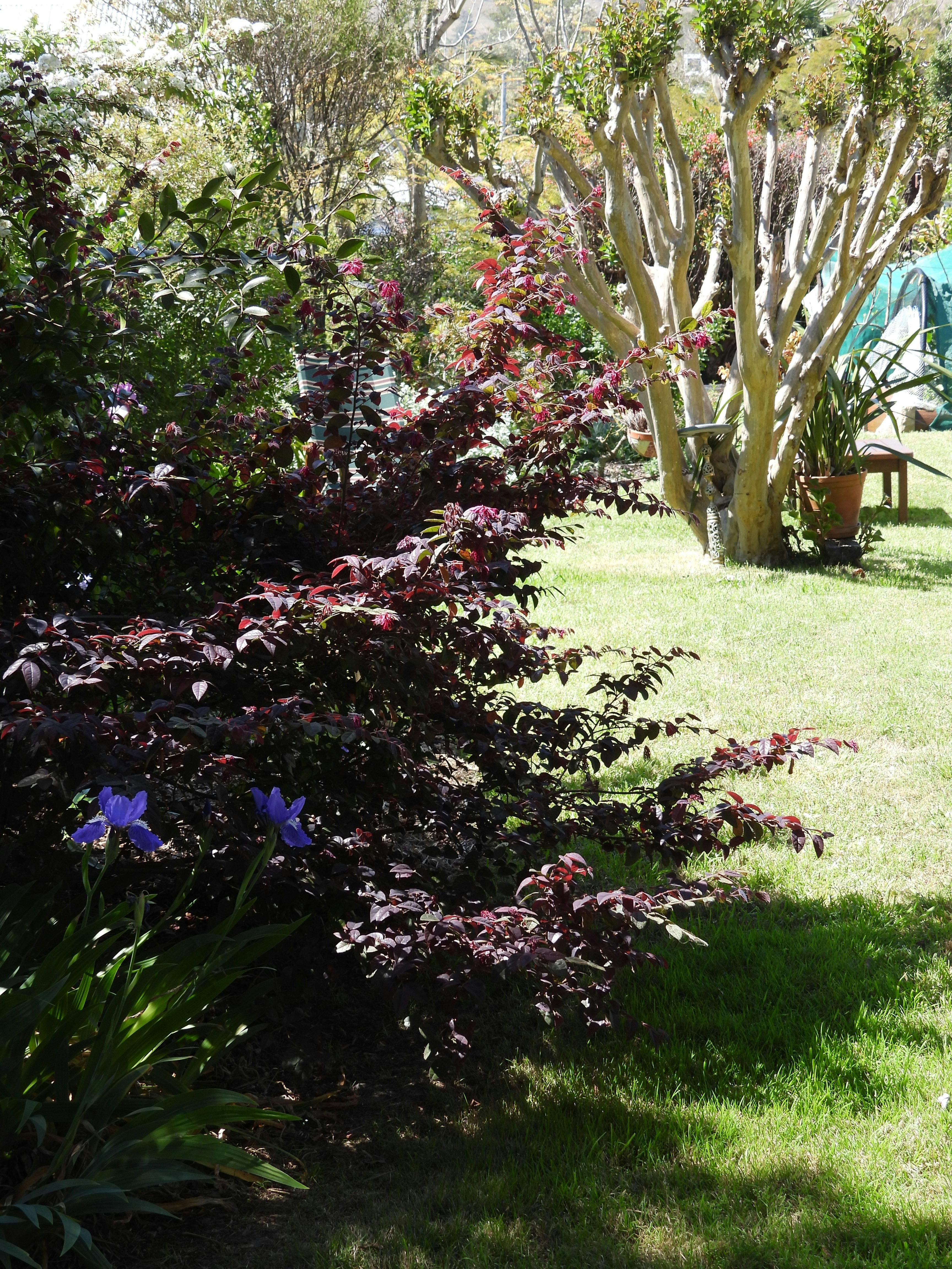 Wander in the gardens
