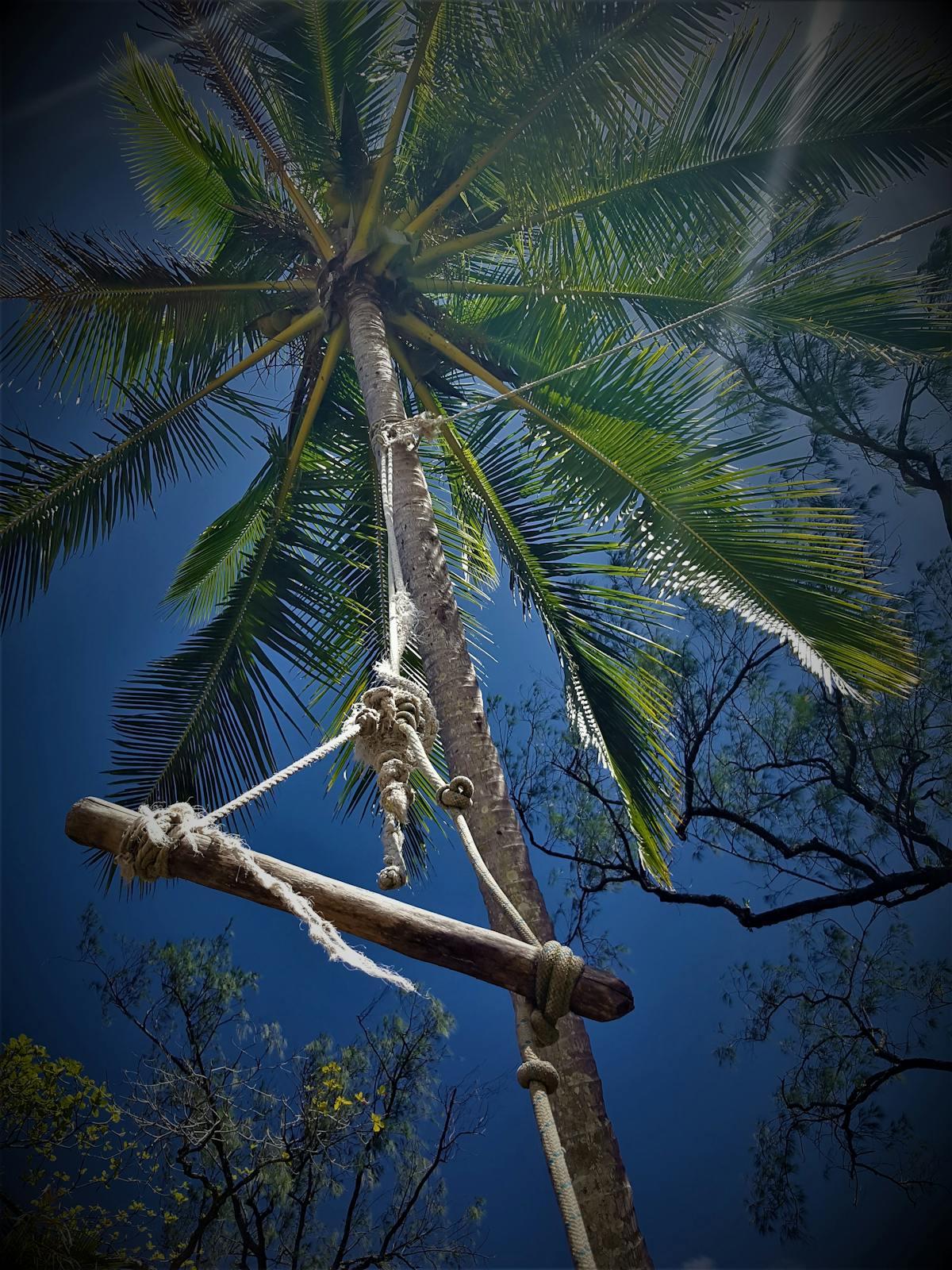 A rope swing located at Cow Bay in the Daintree that is frequently used by visitors to the beach by