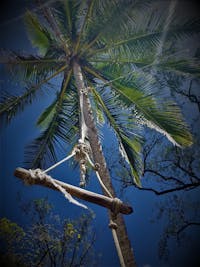A rope swing located at Cow Bay in the Daintree that is frequently used by visitors to the beach by