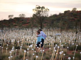 Field of Light with Outback Spirit Tours