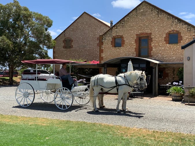 Carriage of Occasion