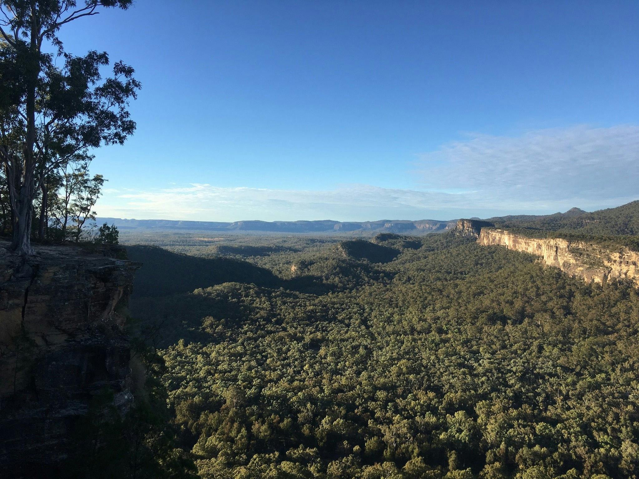 Carnarvon Gorge National Park, QLD