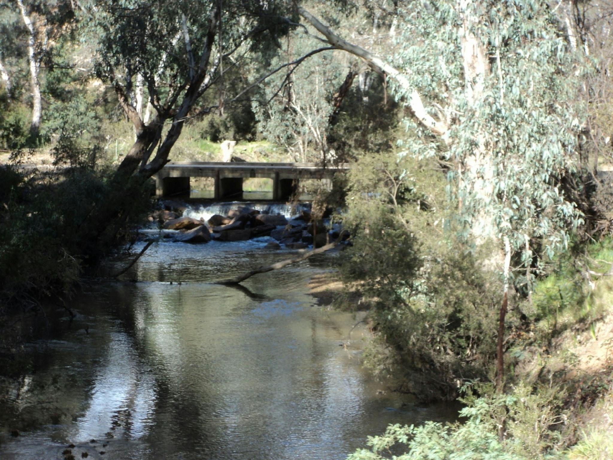 creek,  branch in creek, trees, bush, rocks, spillway, bridge