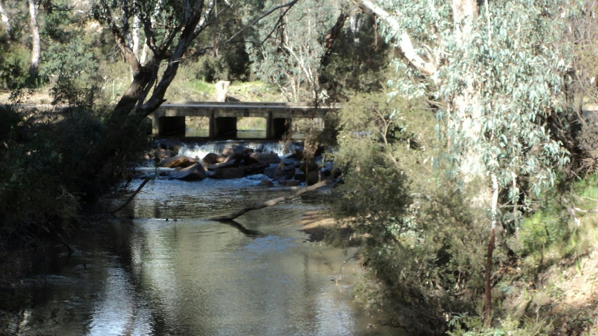 creek,  branch in creek, trees, bush, rocks, spillway, bridge