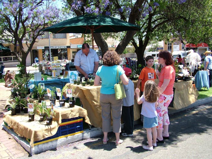 Barmera Main Street Markets