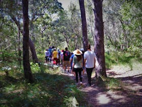 Flavours of the Bush: Bush Tucker and Medicine Tour & Tasting