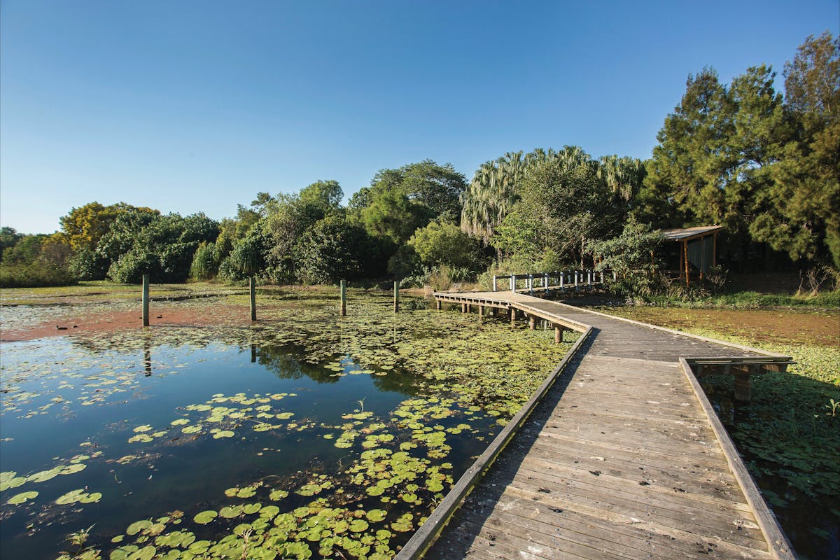 Mackay Regional Botanic Gardens