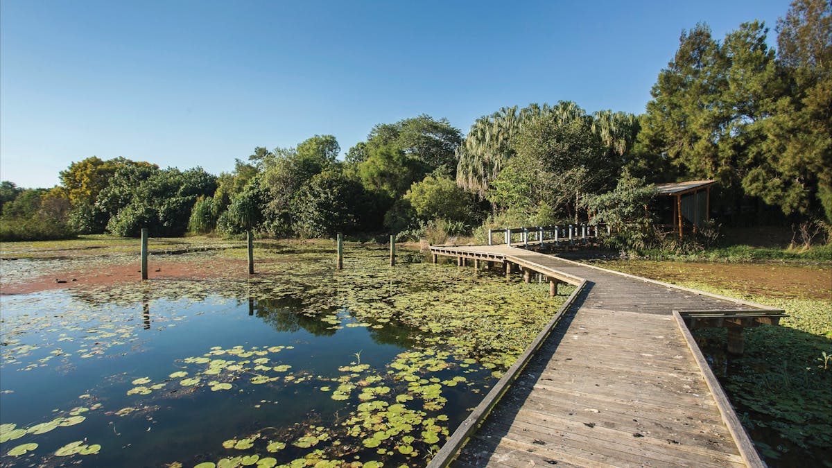 Mackay Regional Botanic Gardens