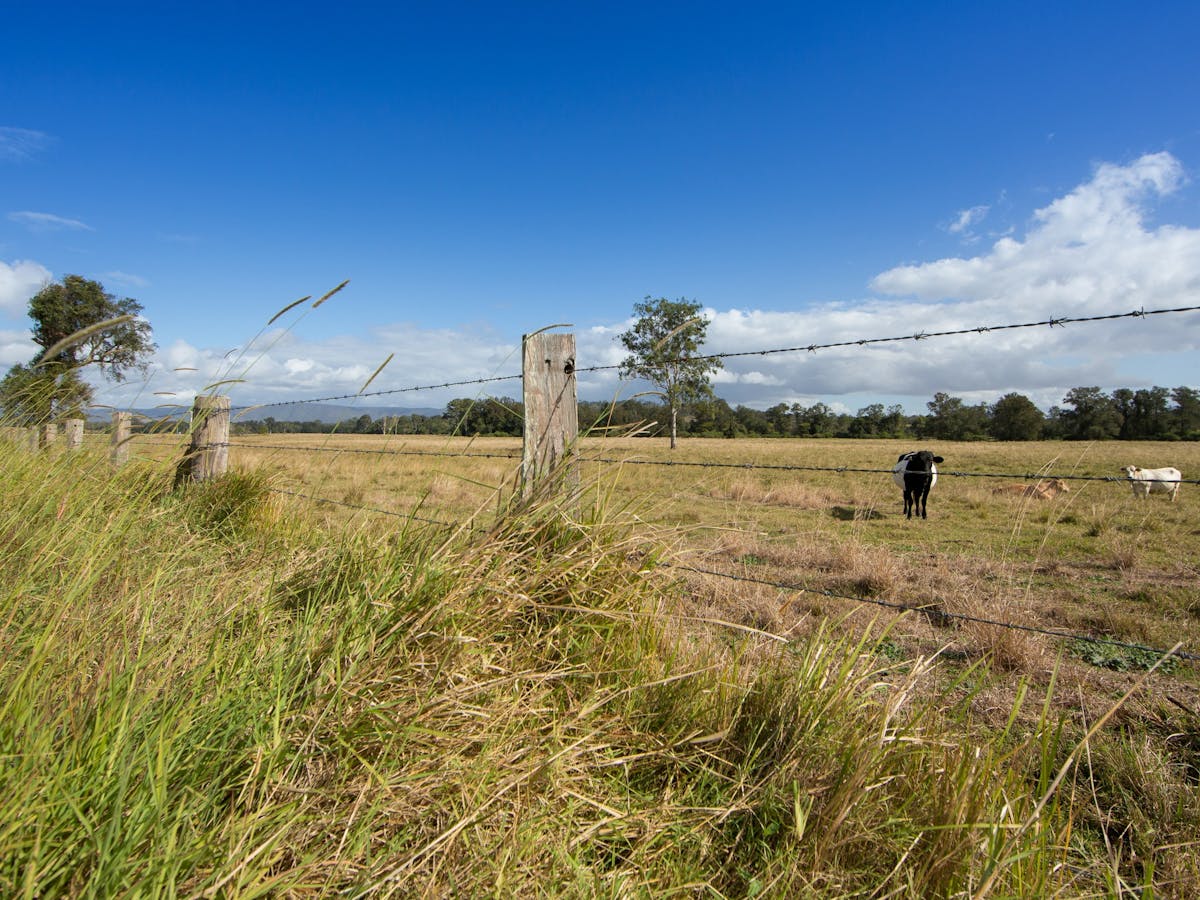 Scenic drive to Stony Creek through farmland